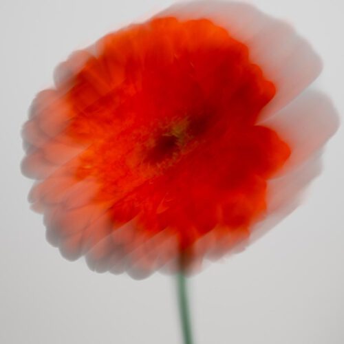 minimalismus-fotografie-kunst