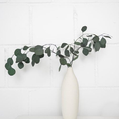 Minimal fotografiert corido5